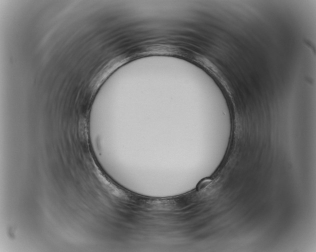 X0000100771433200807101741