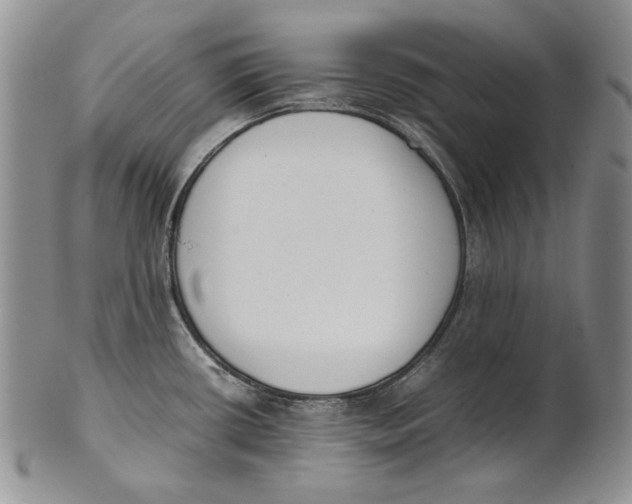 X0000100771434200807101741