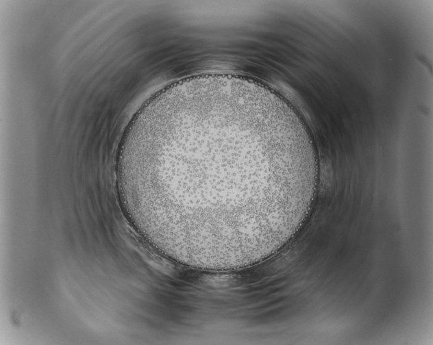 X0000100771435200807101741