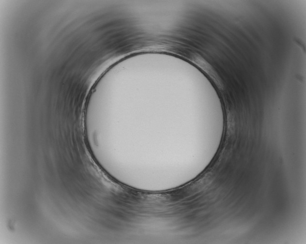 X0000100771436200807101741
