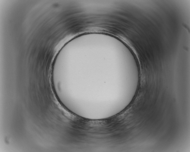 X0000100771437200807101741