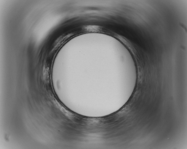 X0000100771438200807101741