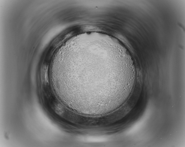 X0000100771439200807101741