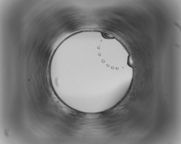 X0000100771440200807101741