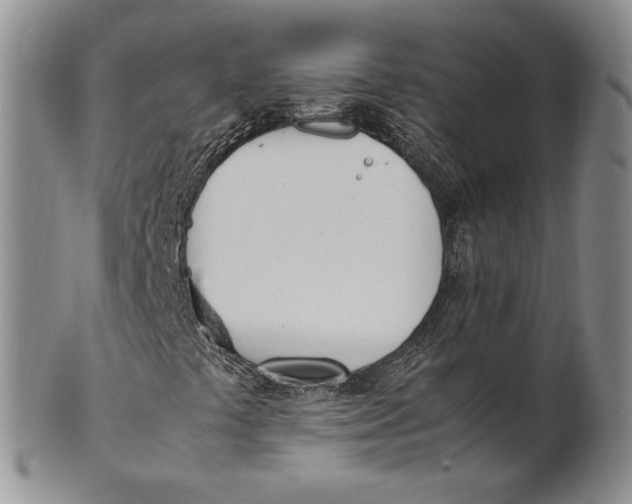 X0000100771441200807101740