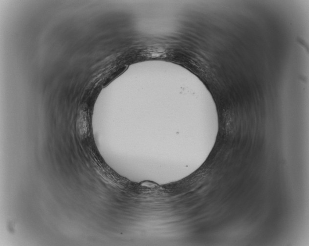 X0000100771442200807101740