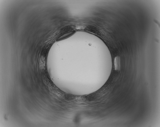 X0000100771443200807101740