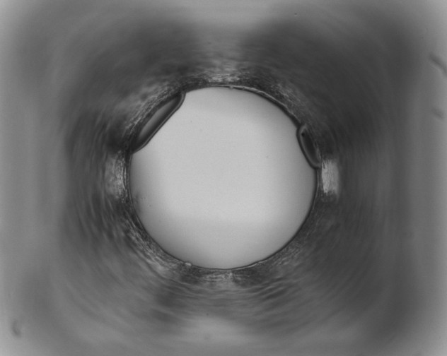 X0000100771444200807101740