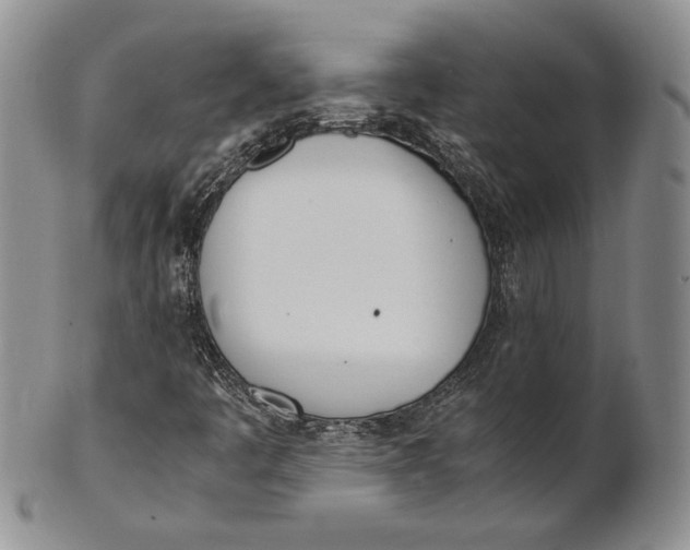 X0000100771445200807101740