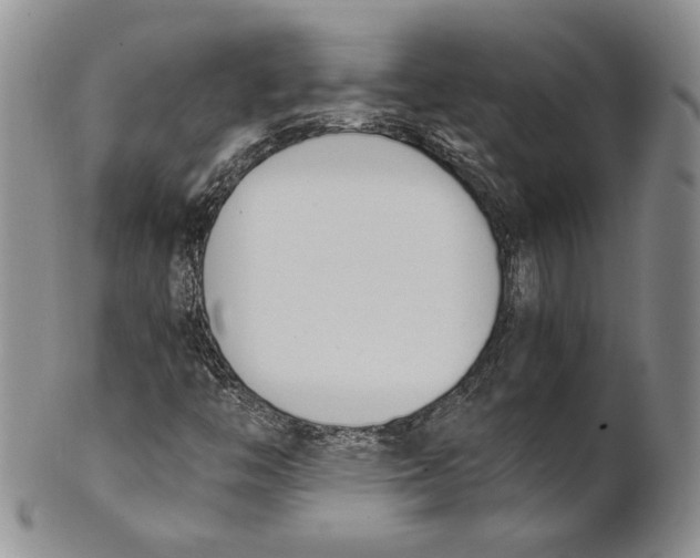 X0000100771446200807101740