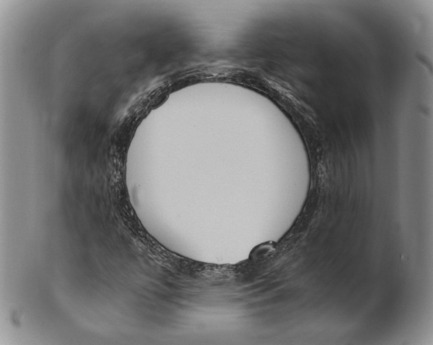 X0000100771447200807101740