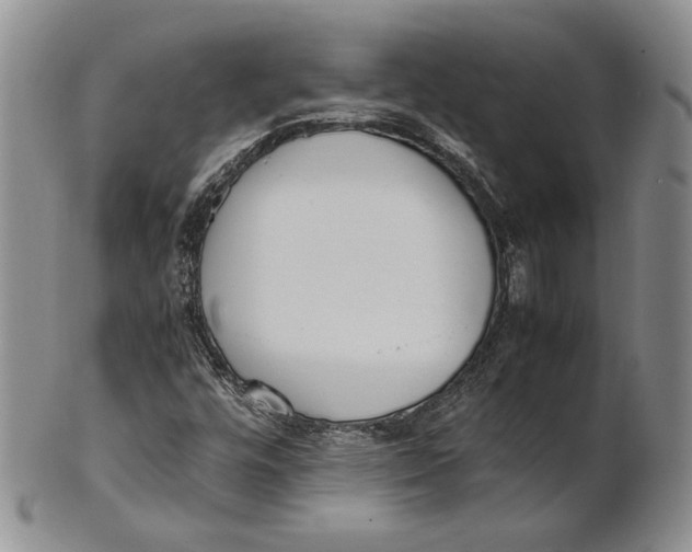 X0000100771448200807101740