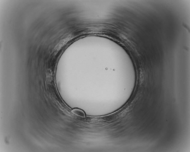 X0000100771449200807101740