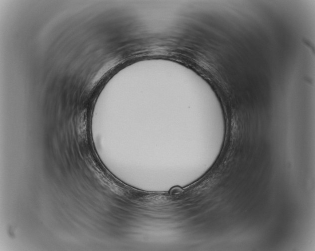 X0000100771450200807101740