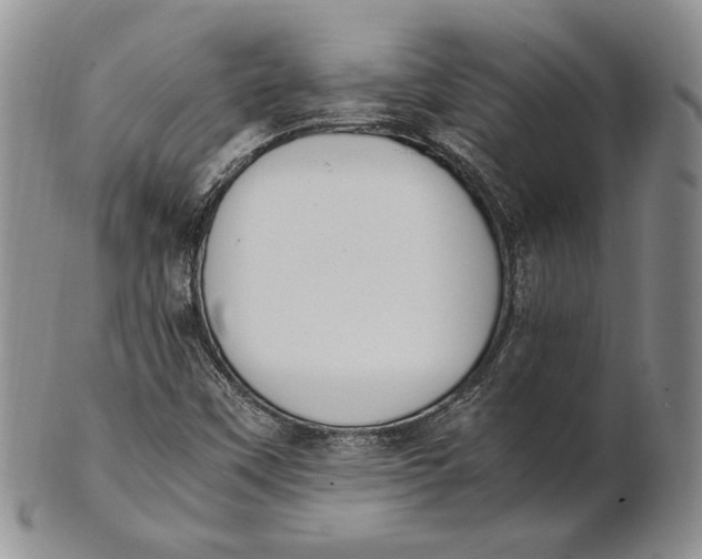 X0000100771451200807101740