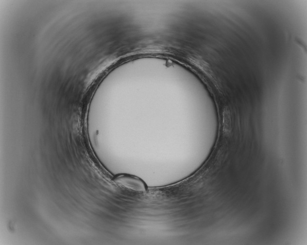 X0000100771452200807101740