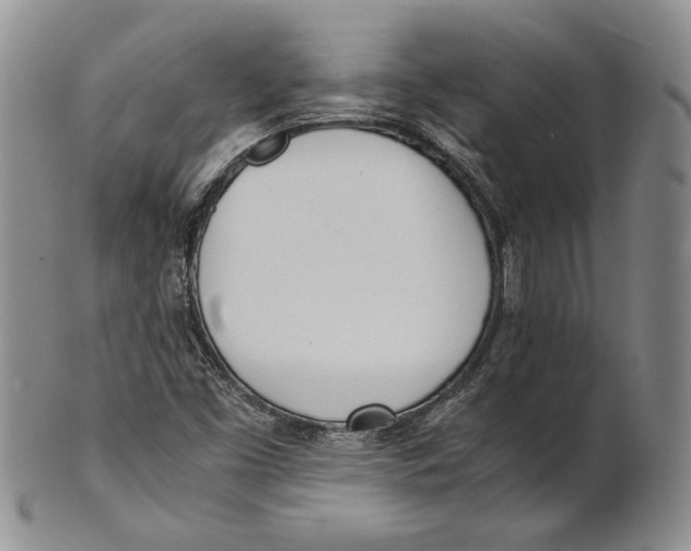 X0000100771453200807101740