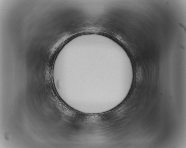 X0000100771454200807101740
