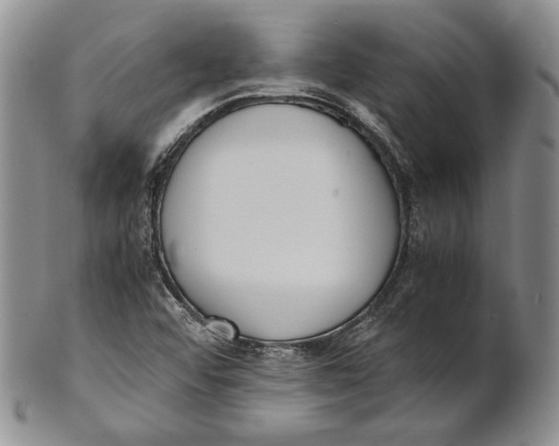 X0000100771456200807101740