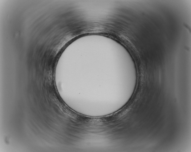 X0000100771457200807101740