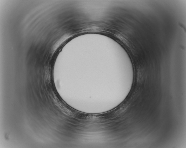 X0000100771458200807101740