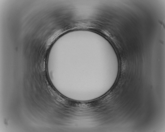 X0000100771459200807101740