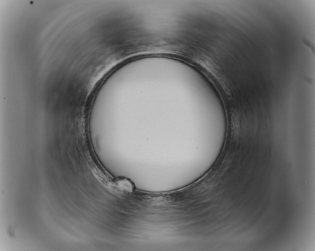 X0000100771460200807101740