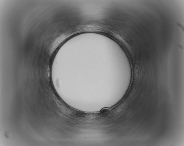 X0000100771461200807101740