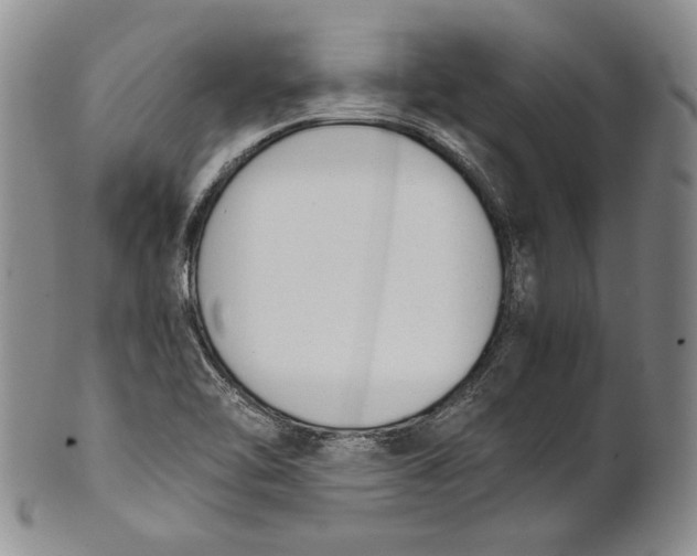 X0000100771462200807101740
