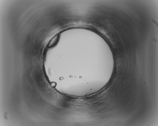 X0000100771463200807101740