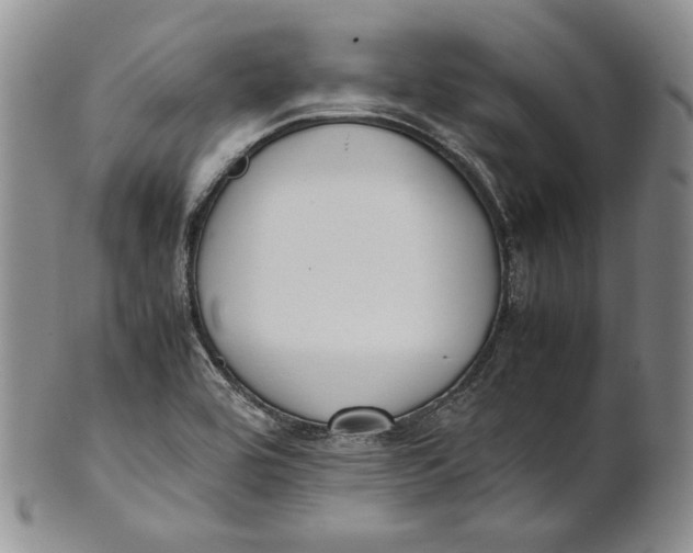 X0000100771464200807101740
