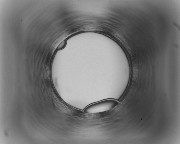 X0000100771465200807101740
