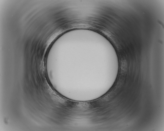 X0000100771466200807101740