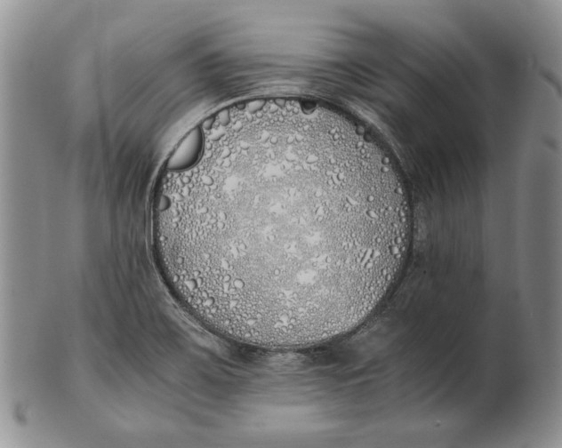X0000100771467200807101740