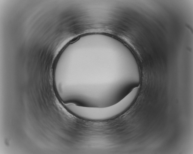 X0000100771468200807101740