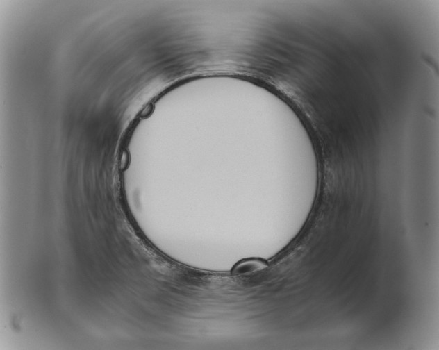 X0000100771469200807101740