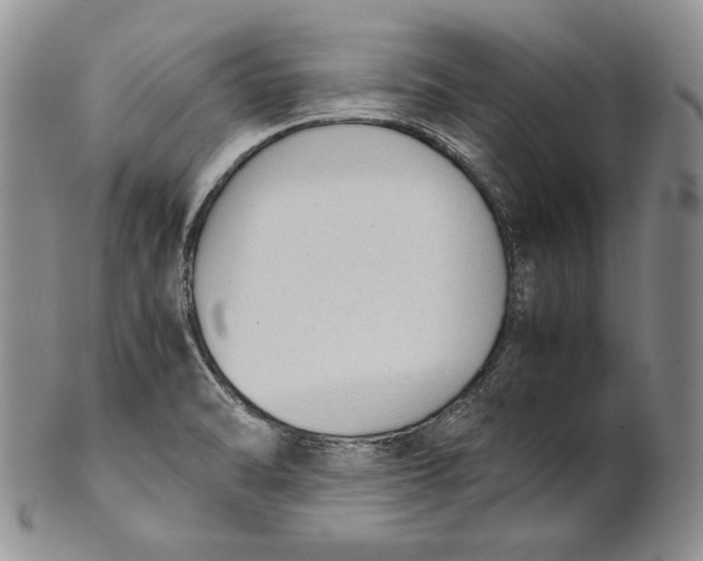 X0000100771470200807101740