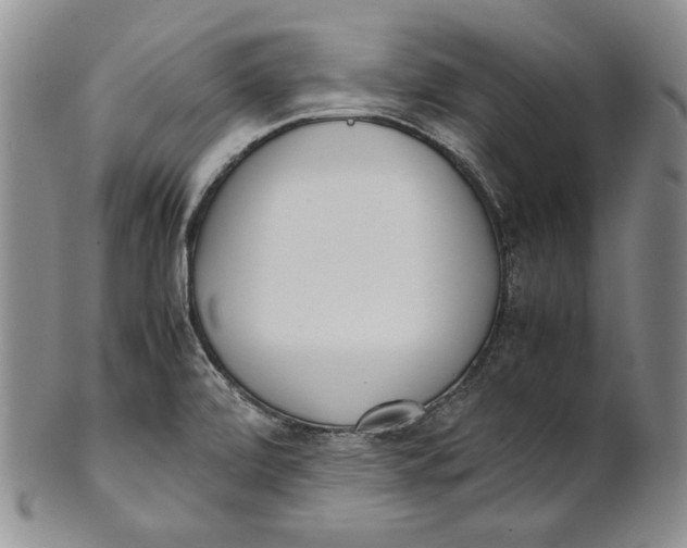 X0000100771472200807101740