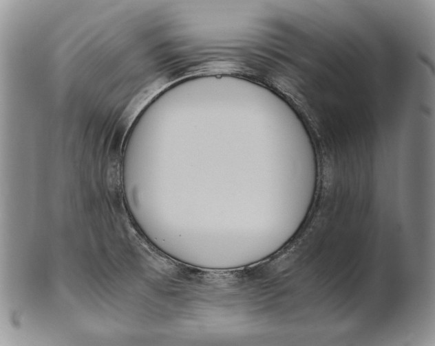 X0000100771473200807101740