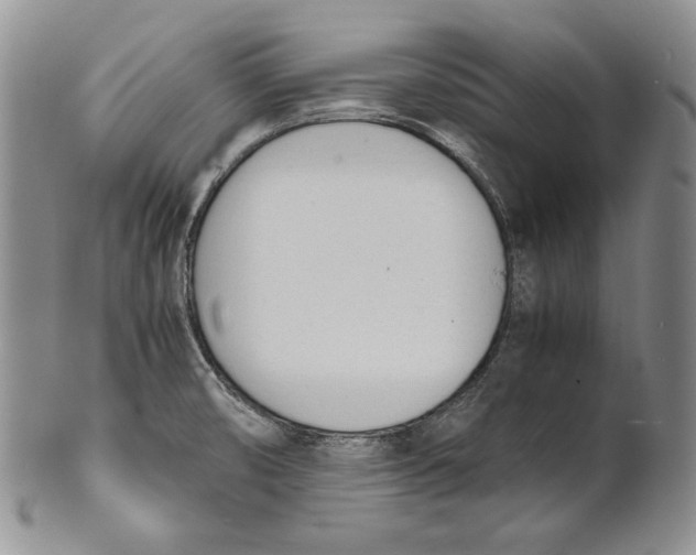X0000100771474200807101740