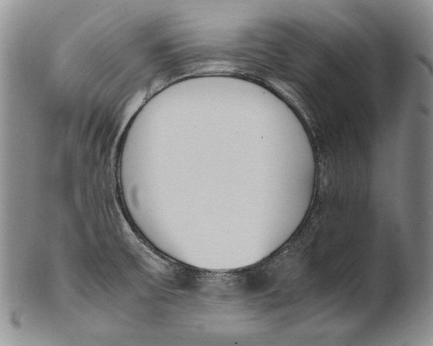 X0000100771475200807101740