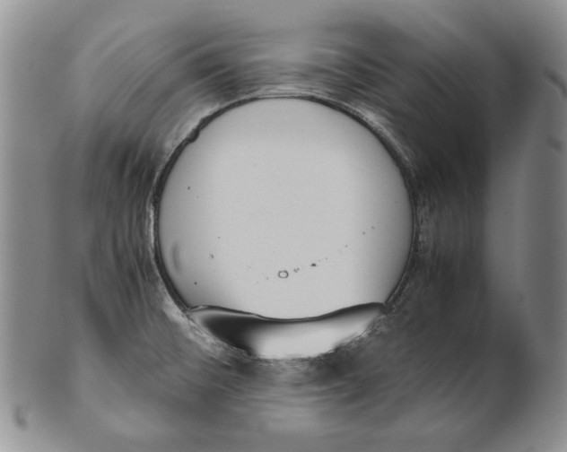 X0000100771476200807101740