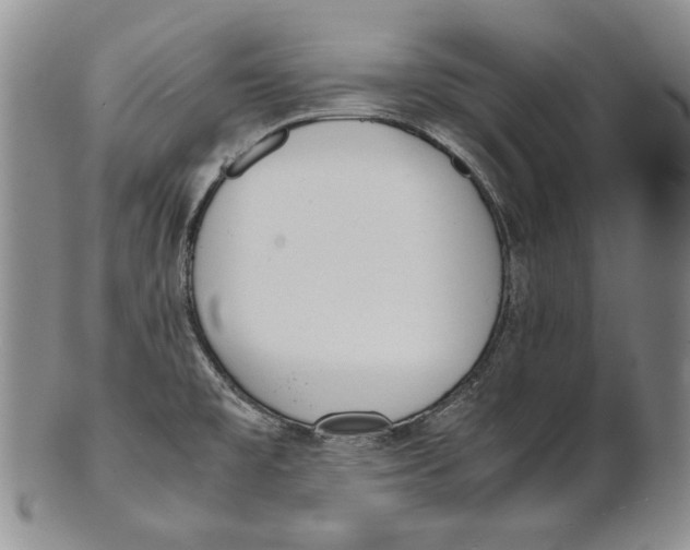 X0000100771477200807101740