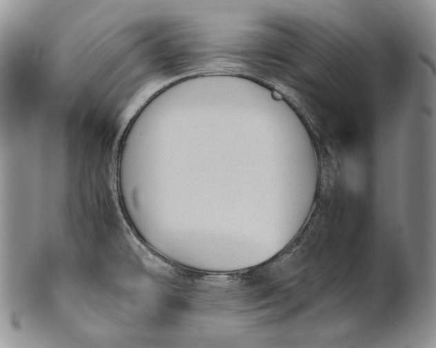 X0000100771478200807101740