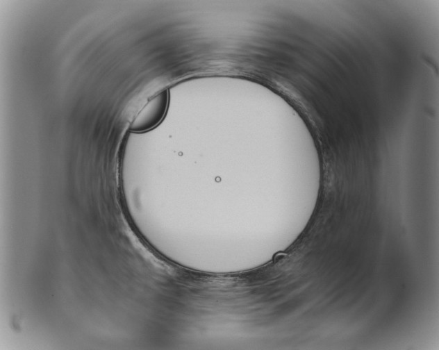 X0000100771479200807101740