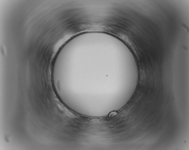 X0000100771480200807101740