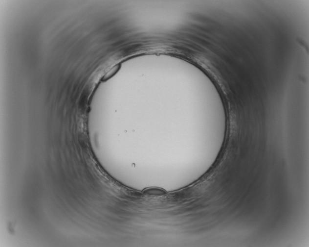 X0000100771481200807101740