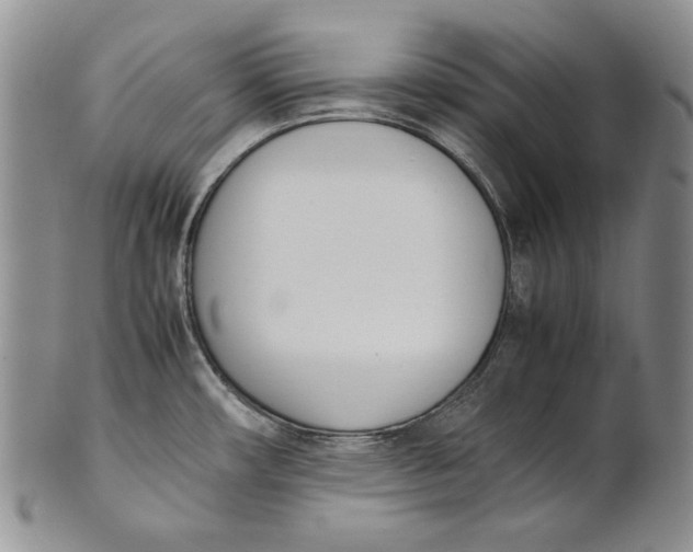 X0000100771482200807101739