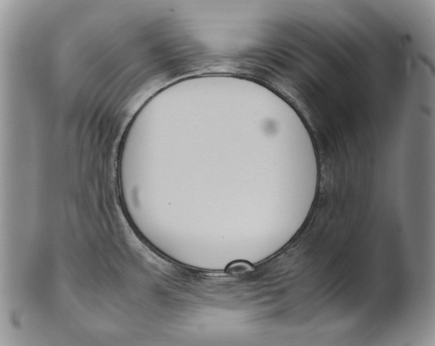 X0000100771483200807101739