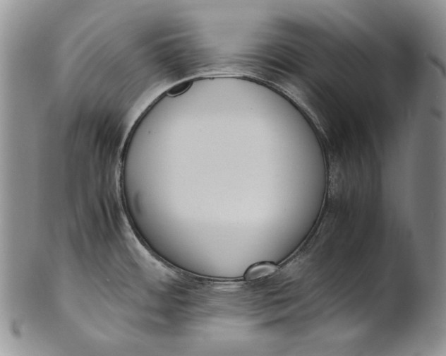 X0000100771484200807101739